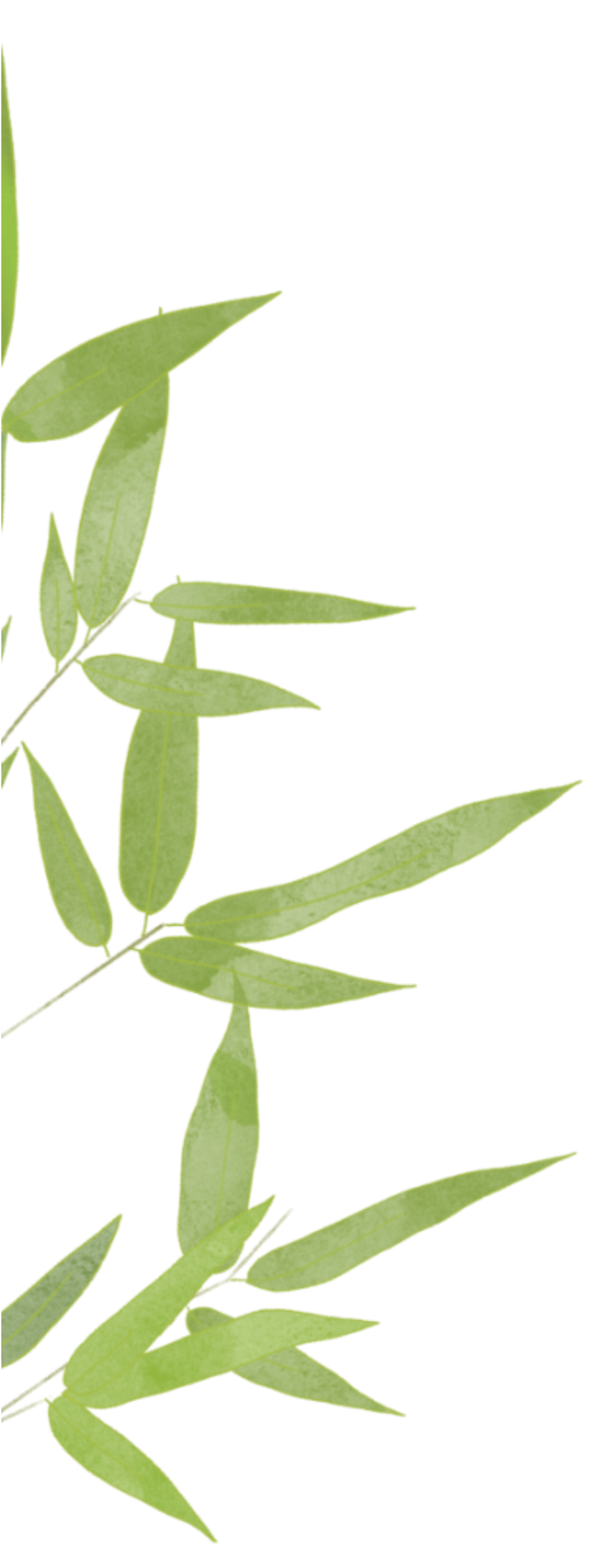 清明至，春意濃(圖4)