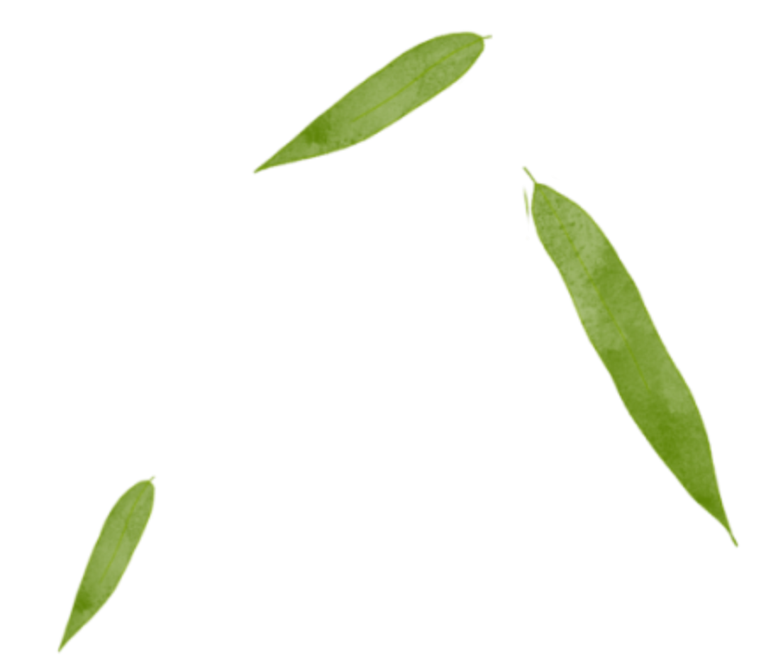 清明至，春意濃(圖15)